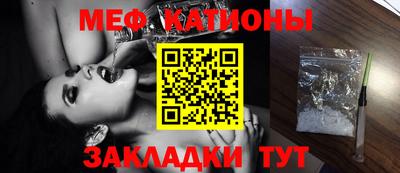 прущие грибы Заводоуковск