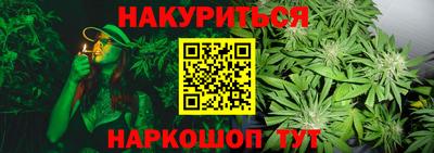 прущие грибы Заводоуковск