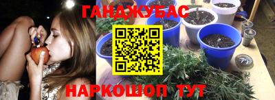 ПСИЛОЦИБИНОВЫЕ ГРИБЫ Жуковский