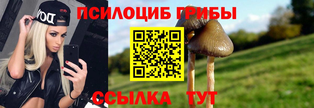 Псилоцибиновые грибы прущие грибы Майкоп
