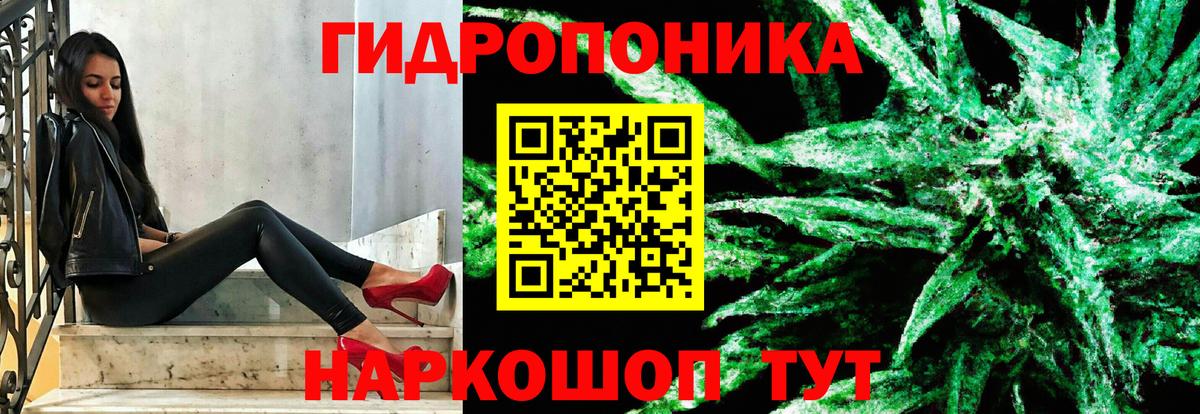 Конопля MAZAR Майкоп